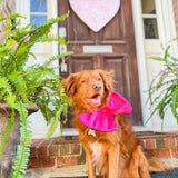 Charlotte Heart Door Hanger