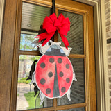 Ladybug Door Hanger