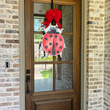 Ladybug Door Hanger