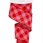 Pink and Red Gingham.JPG